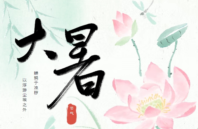 熙见文学社 | 大暑夜蝉记